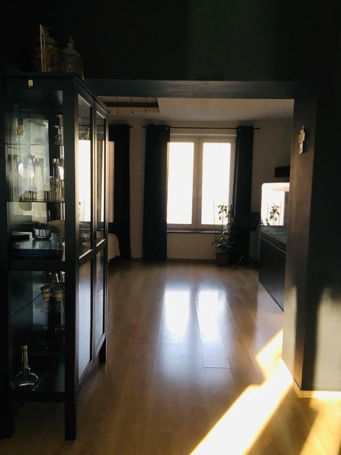 Apartament - Centrum Zabrze Kültér fotó